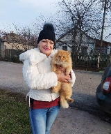 Image of user